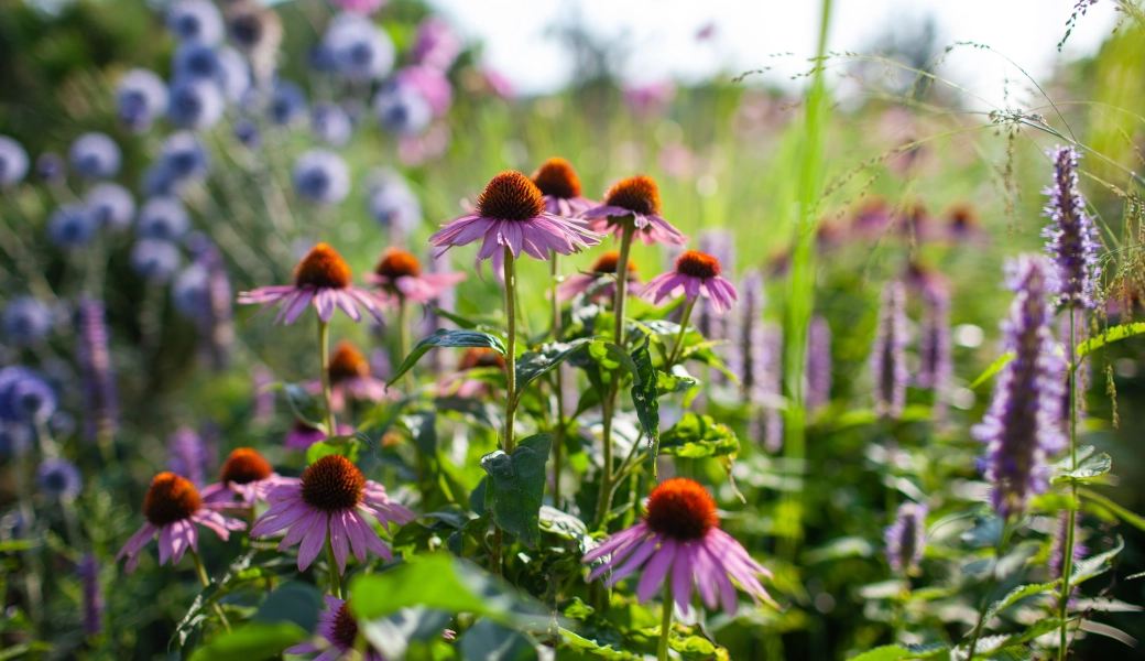 Shutterstock 2665956591