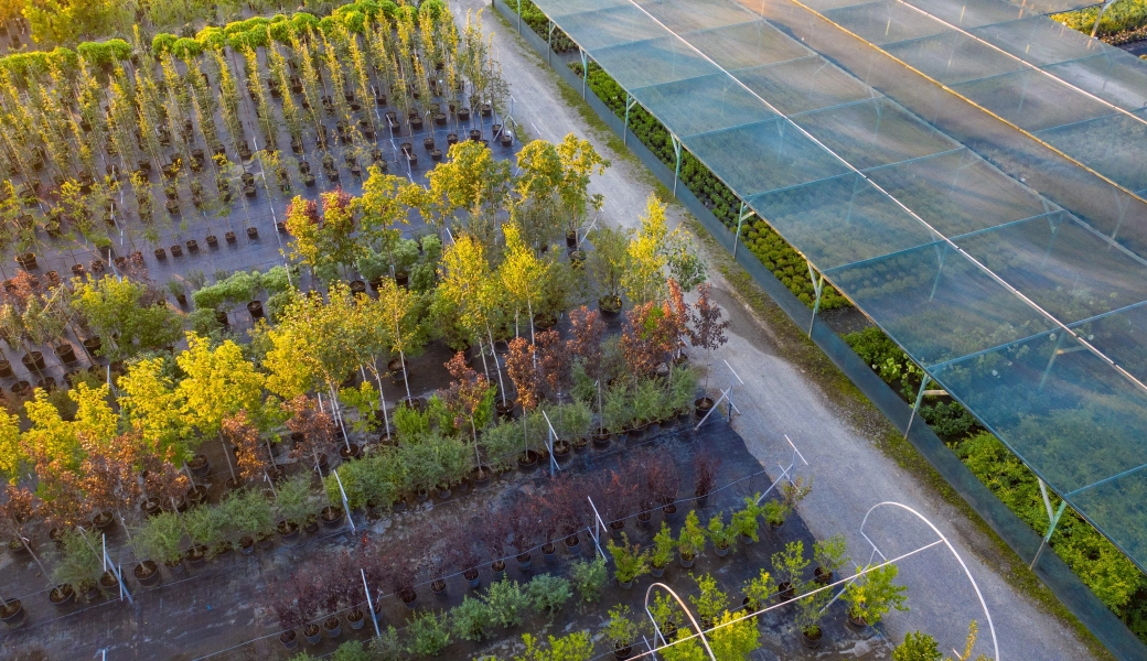 Shutterstock 1814875559 1