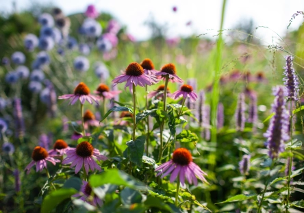 Shutterstock 2665956591