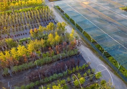 Shutterstock 1814875559 1