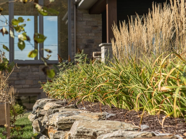 296 mesamges SJDB Photographe Genevieve Roussel 9